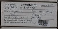 Image Associated With the Occurence